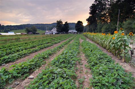 farm land 的图像结果