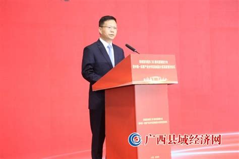 防城港建市30周年招商推介会成功举行 - 广西县域经济网