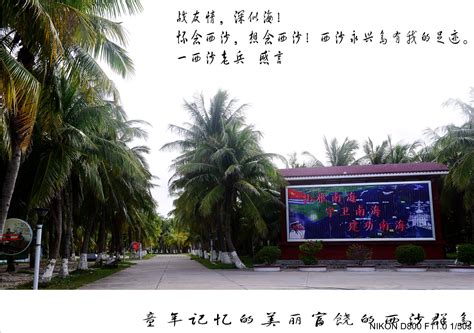 海南省三沙市气象局_创意道品牌-站酷ZCOOL