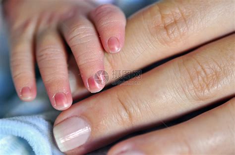 以婴儿手指为主的婴儿持有父母指高清图片下载-正版图片507026844-摄图网
