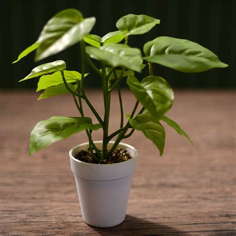 Planta Artificial con Maceta Kentia Exotic 30cm Orange - Supermercado