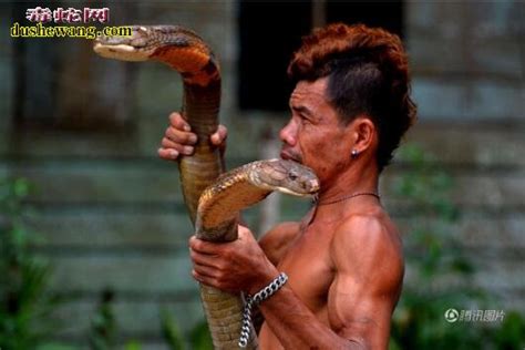 印度耍蛇人：眼镜王蛇偷袭村民 被男子徒手捕获做宠物_毒蛇新闻_毒蛇网