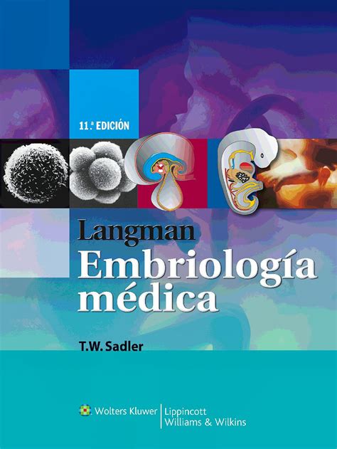Free download Langman’s Medical Embryology pdf 13th Edition 2021 ...