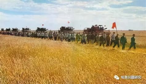 历史上的今天丨71年前，这个小农场开启了安徽农垦百万亩现代农业大基地的发展之路_兵团