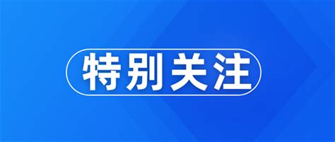 邯郸初中生遇害案嫌疑人分两次挖坑 - 四川教育报道网