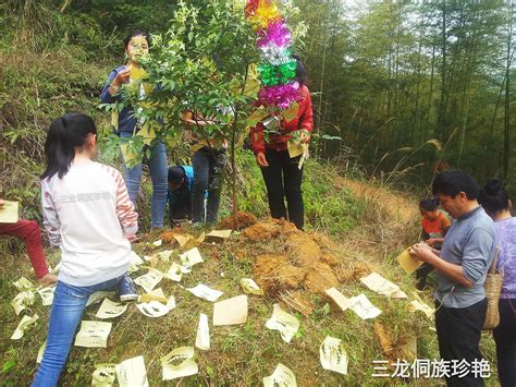 清明节：带你了解贵州黔东南侗族的扫墓风俗