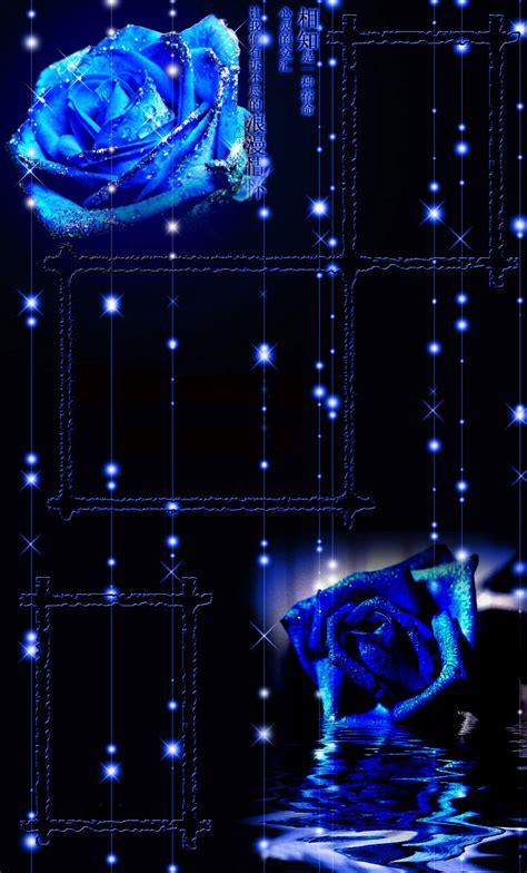 QQ空间装扮模块_蓝色玫瑰的浪漫情怀_Q天下