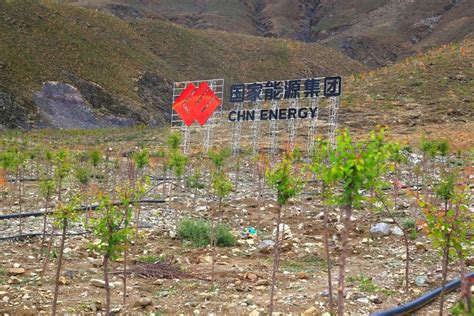 西藏公司2000亩绿树贡献“拉萨南北山绿化工程” | 爱监理