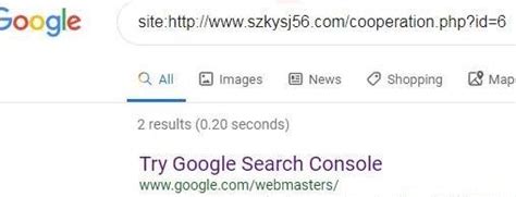 xx常用基本搜索指令site怎么使用？使用方法分享-谷歌浏览器-浏览器家园