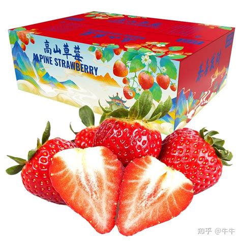 草莓家族品牌介绍_草莓家族童装品牌故事 -中服网