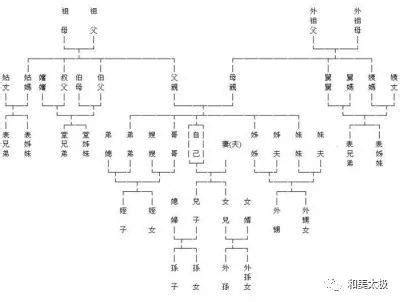 九族五服图图片
