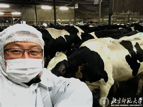 宁夏：智慧牧场让奶牛过上“智慧生活”-第六届中国（银川）国际奶业展览会暨论坛