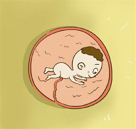 胎儿在妈妈肚子里就有的三种能力,他并不是只会睡觉哦|胎儿|发育|肚子_新浪新闻