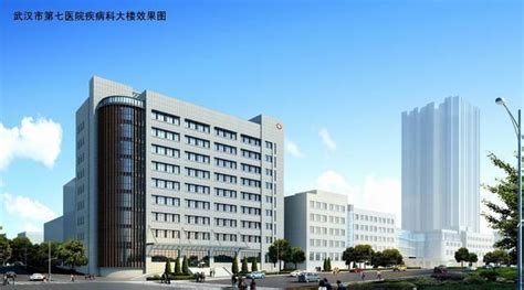 武汉大学人民医院(洪山院区)（正在建设）位于武汉市洪山区白沙四路与光霞路交叉路口往西北约220米，预计今年（2023年）年底投入使用。