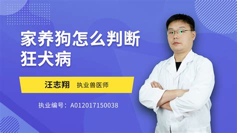 怎么判断狗得了狂犬病 - 蘑菇宠医