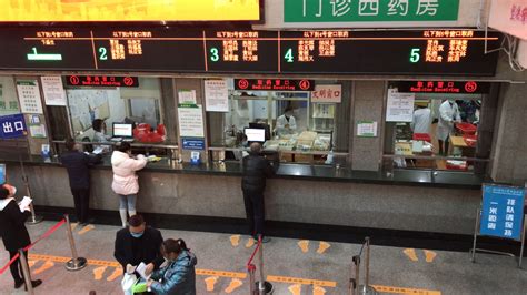 包含北京中醫醫院幫忙掛號陪同看病檢查報告專人解讀，病情心中有數的詞條