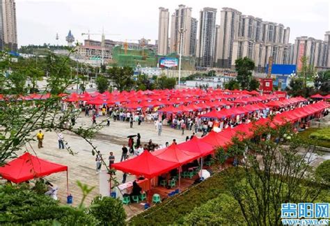 上半年，贵州省城镇新增就业39.24万人，比一季度增加19.51万人-贵阳网