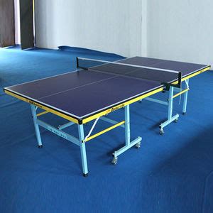 2021乒乓球桌十大品牌排行榜-乒乓球桌哪个牌子好 - 牌子网