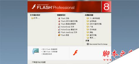 Flash应用程序中的函数访问控制方法及装置与流程_2