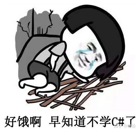 编程表情包图片