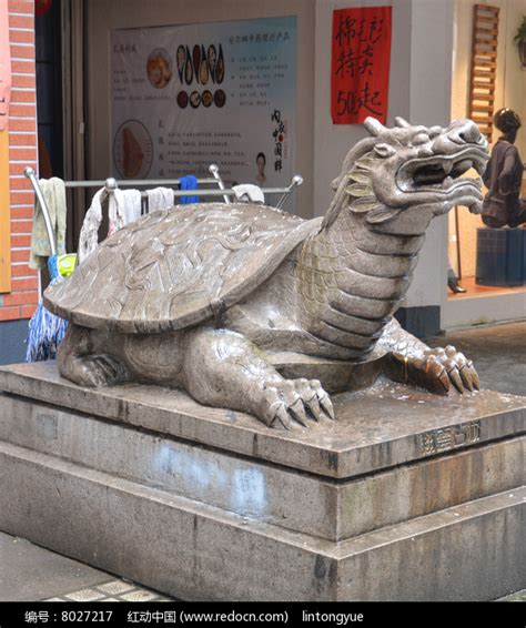 玄武龟图片