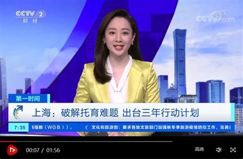 CCTV2 财经频道：（董秀成）中国未来水电潜能主要集中在抽水蓄能-对外经贸大学70年校庆专题网站