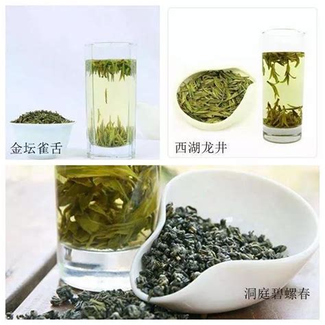 三分钟看懂绿茶的分类_绿茶-茶语网,当代茶文化推广者