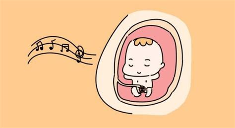偶然胎停流产vs复发性流产，区别究竟有多大？_胚胎