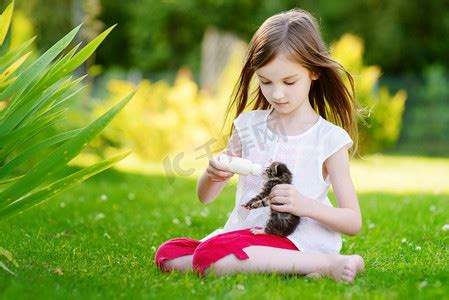 女孩给宠物猫喂猫粮gif动图下载-包图网
