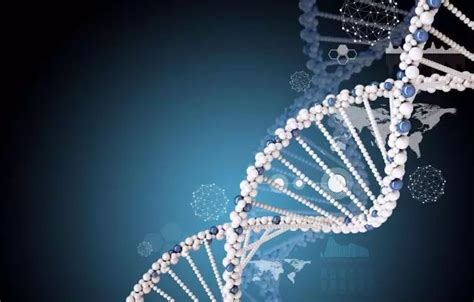 科学家发现再生基因“控制开关” 未来或实现四肢再生__凤凰网
