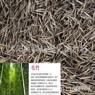 毛竹种子-盆景园艺-中国兰花交易网社区