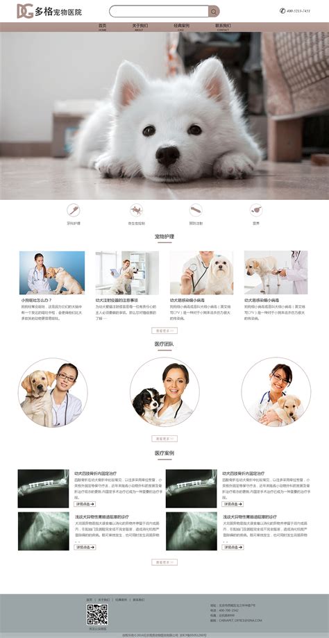 专业宠物医院服务网页模板-网站模板-凡科建站