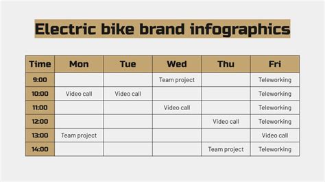 Electric Bike Brand Business Plan Infographics