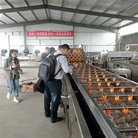 大型食品厂专用红薯清洗设备 甘薯加工清洗流水线 洗红薯机器 山东潍坊 美康-食品商务网