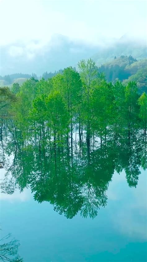 青山绿水湖中绿树(风景手机动态壁纸) - 风景手机壁纸下载 - 元气壁纸