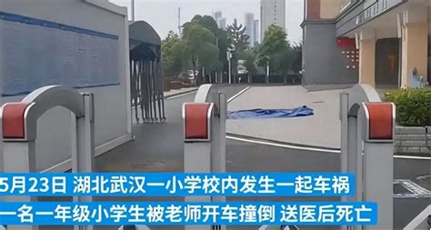武汉一小学生在校内被老师开车撞倒送医后身亡……|身亡|武汉市|撞倒_新浪新闻