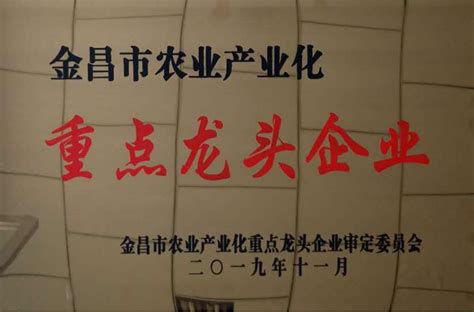 安徽铜陵：拆除冶炼大烟囱 打好蓝天保卫战-人民图片网