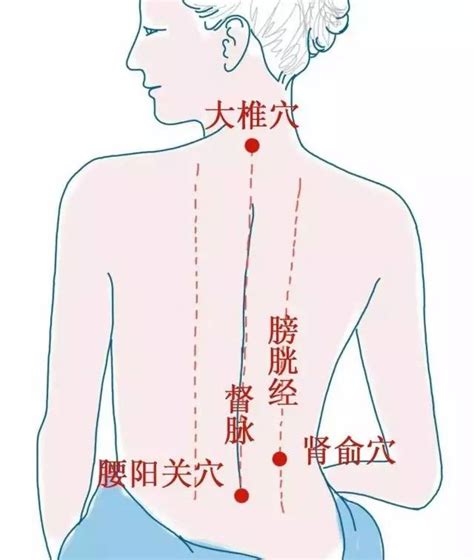 背部刮痧示意图图片