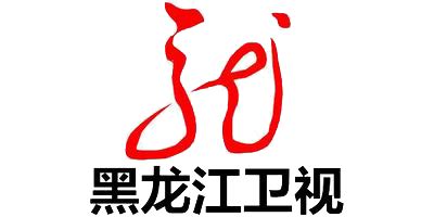 黑龙江广播电视台 LOGO设计图__公共标识标志_标志图标_设计图库_昵图网nipic.com