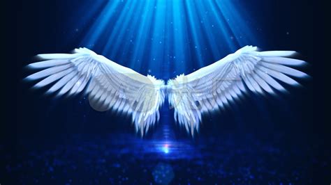 天使光环装饰天使翅膀装饰元素图片免费下载_PNG素材_编号zq9ikgex4_图精灵