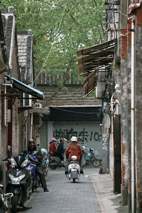 阳光下的杭州小河直街高清图片下载-正版图片500362592-摄图网
