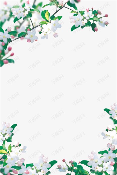 花边图片