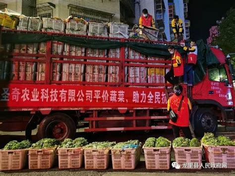 秀山农产品送进粤港澳大湾区市民的“菜篮子” - 上游新闻·汇聚向上的力量