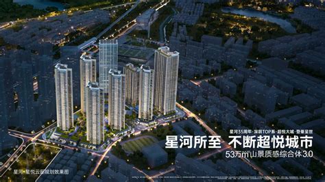 湖城印象-陕西省西咸新区泾河新城开发建设（集团）有限公司