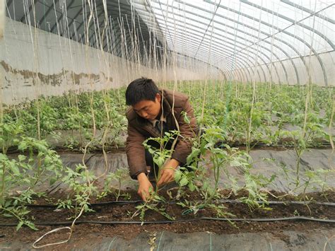 福州“菜篮子”工程提质增效 农副产品实现四大转变 - 福州 - 东南网