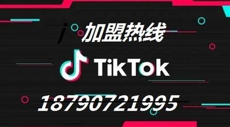 TikTok直播公会招商 - 知乎