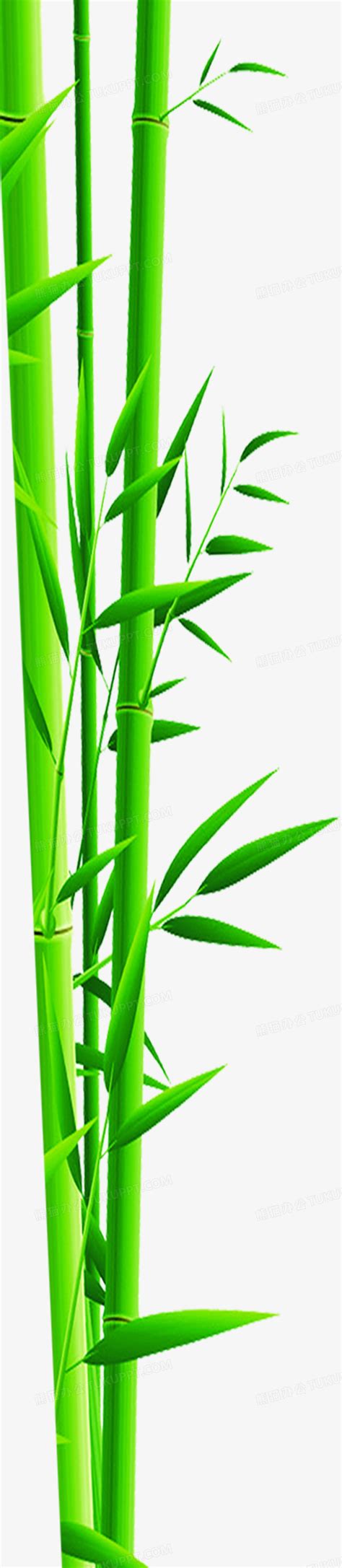 扁平手绘质感绿色的竹子PNG图片素材下载_竹子PNG_熊猫办公