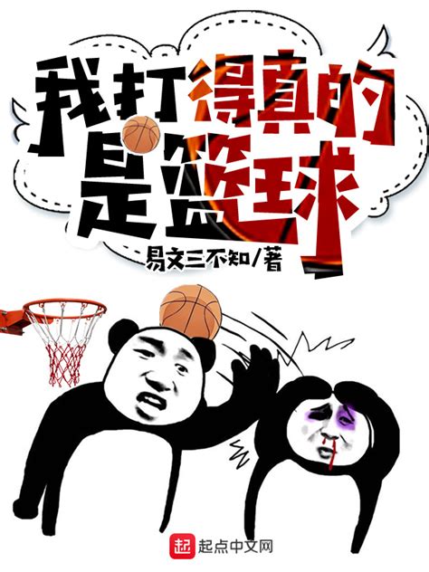 《我打得真的是篮球》小说在线阅读-起点中文网