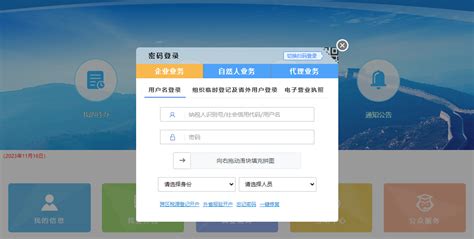 江苏国税电子税务局操作视频——发票票种、票量核定申请