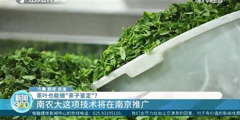 浙江省茶叶产业发展现状 - 知乎